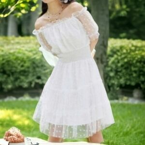 Off The Shoulder Mesh Dress